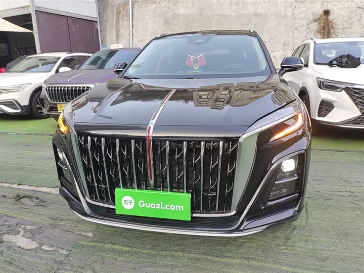 Фото 3 - Hongqi HS3