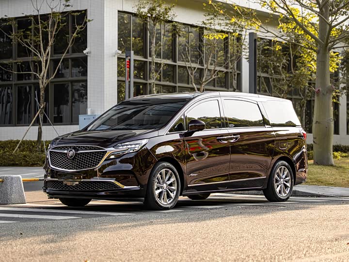 Фото 1 - Buick GL8 ES