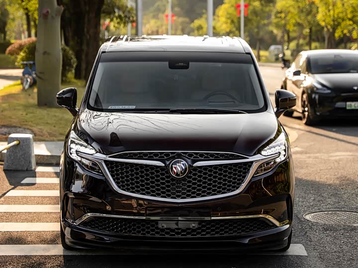 Фото 2 - Buick GL8 ES