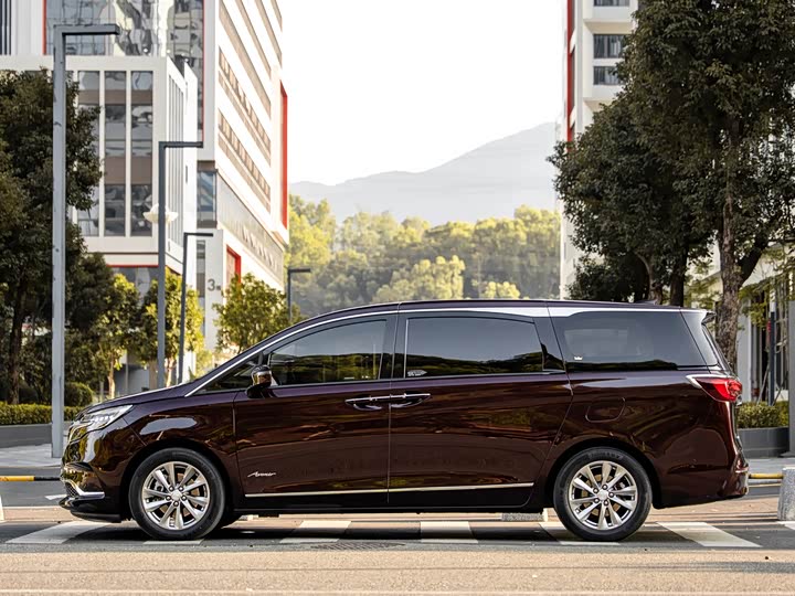 Фото 4 - Buick GL8 ES