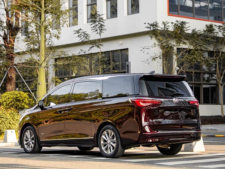 Фото 5 - Buick GL8 ES