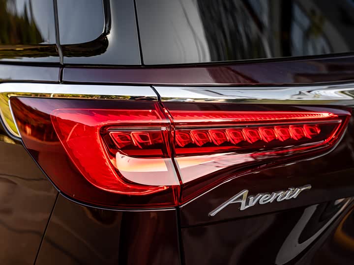 Фото 7 - Buick GL8 ES