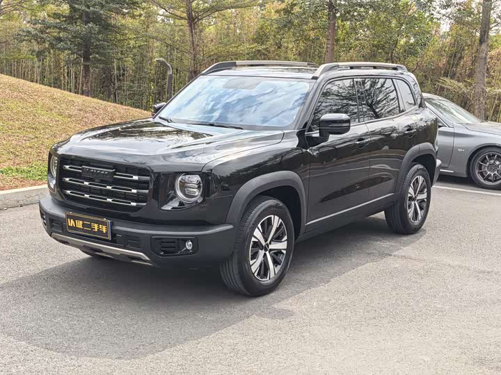 Фото 1 - Haval Dargo