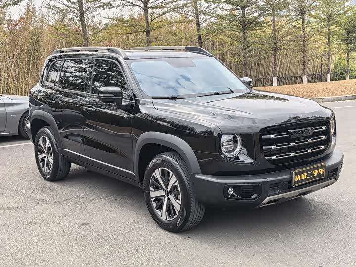 Фото 3 - Haval Dargo