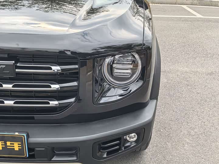 Фото 4 - Haval Dargo