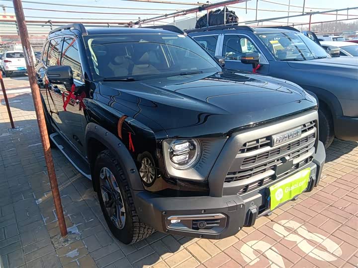 Фото 4 - Haval Dargo