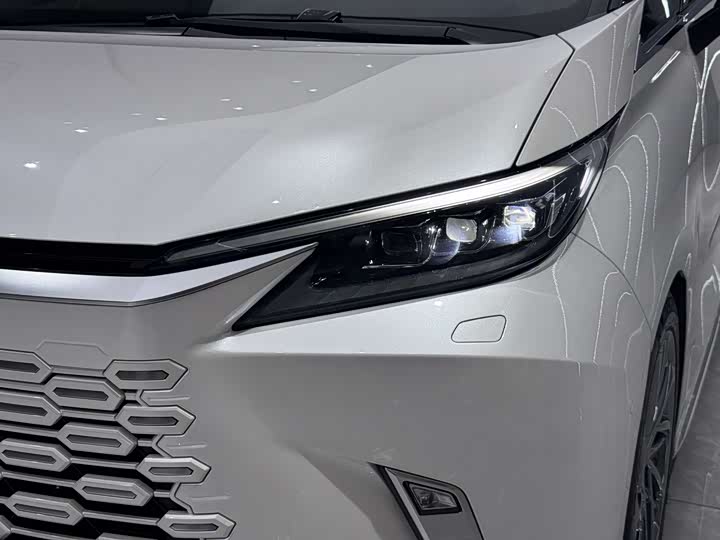 Фото 6 - Lexus LM