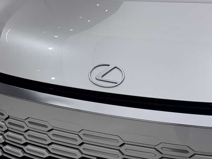 Фото 7 - Lexus LM