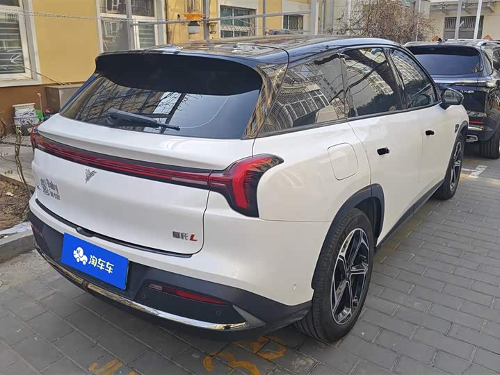 Фото 3 - Hozon L