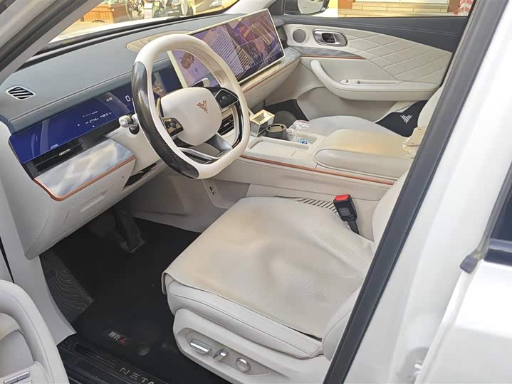 Фото 9 - Hozon L