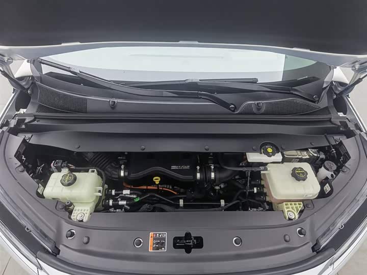 Фото 6 - Buick OMPV