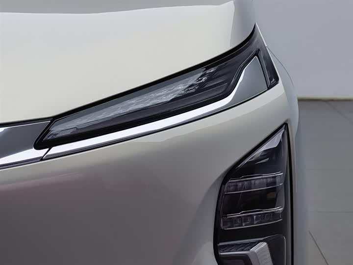 Фото 7 - Buick OMPV