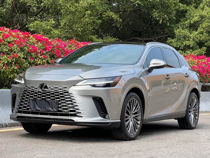 Фото 1 - Lexus RX