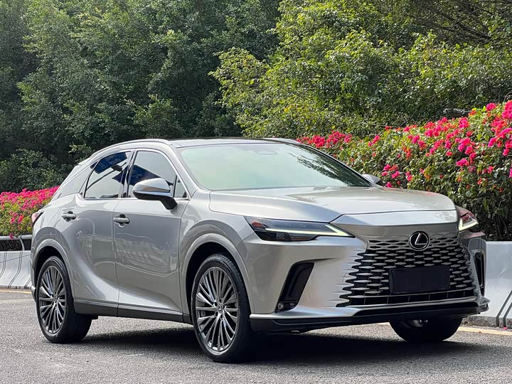 Фото 3 - Lexus RX