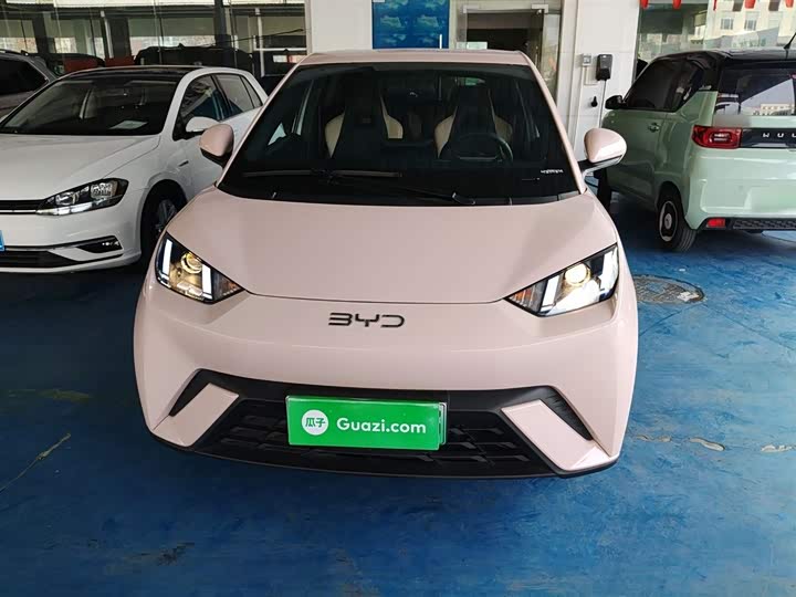 Фото 3 - BYD Seagull