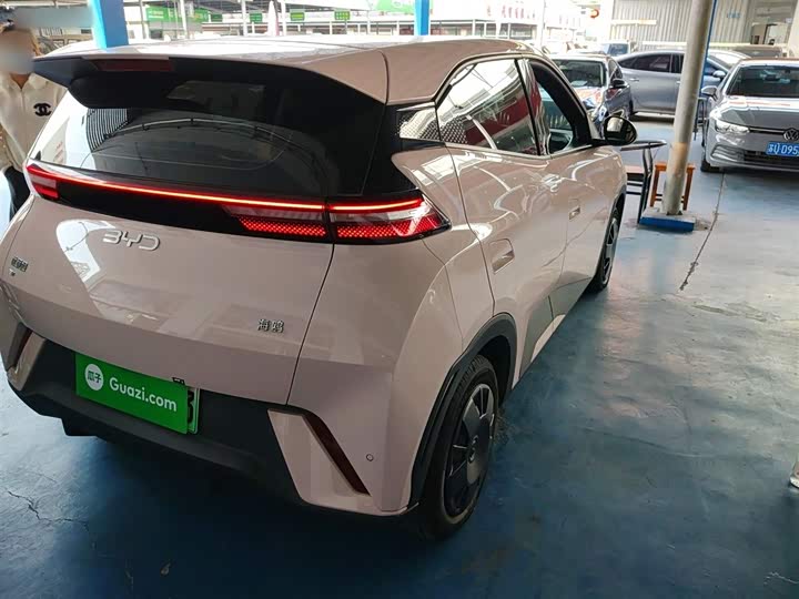 Фото 8 - BYD Seagull