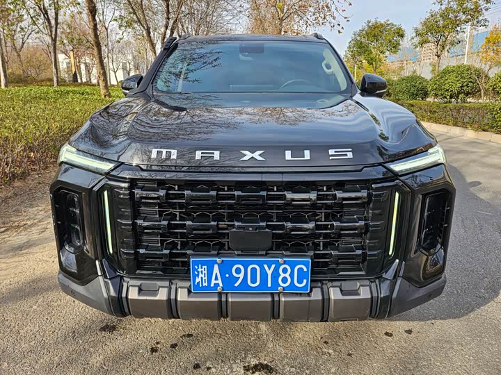 Фото 2 - Maxus Territory