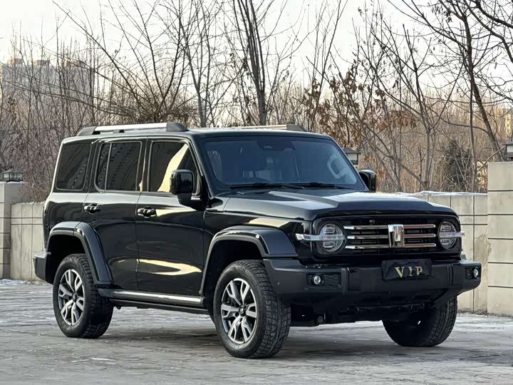 Фото 3 - Tank 300