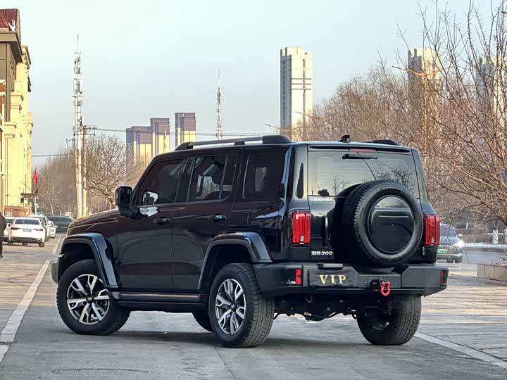 Фото 5 - Tank 300