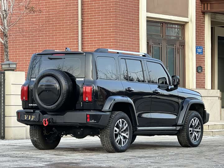 Фото 6 - Tank 300