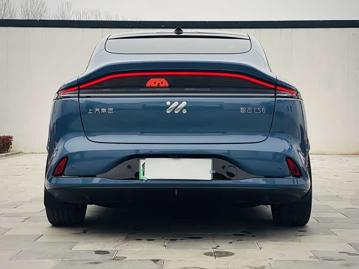 Фото 5 - IM motors LS6