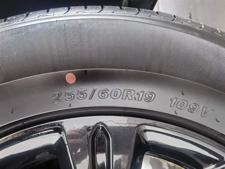 Фото 6 - Haval Raptor Hybrid