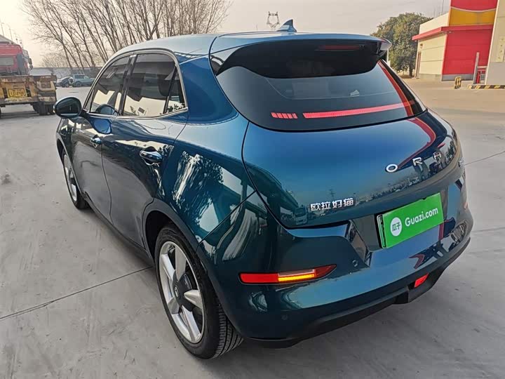 Фото 5 - Ora Good Cat (03)