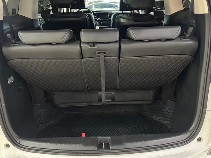 Фото 4 - Honda Elysion