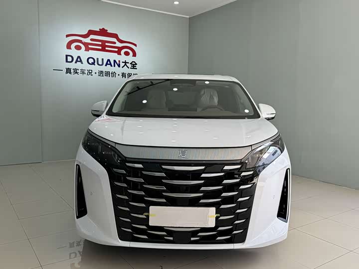 Фото 2 - BYD Xia