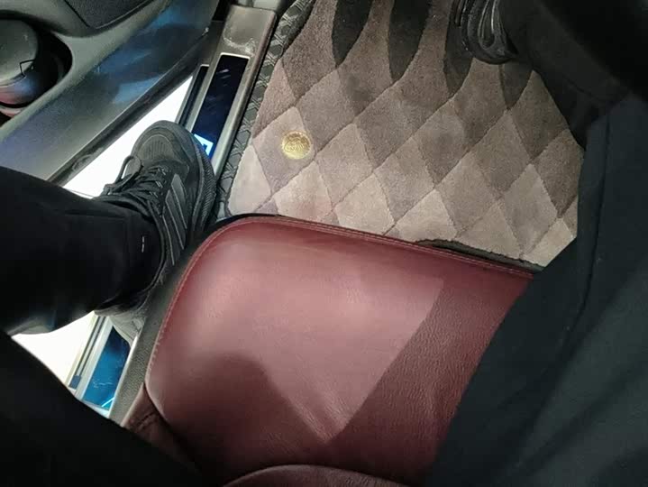 Фото 9 - Honda Elysion