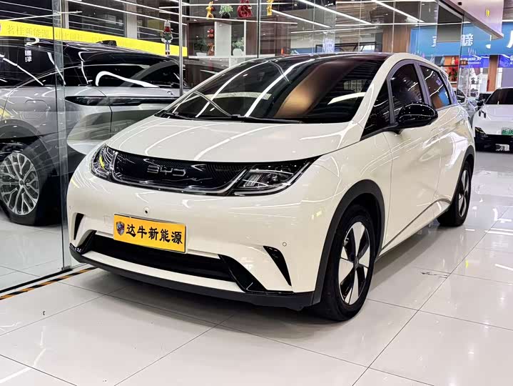 Фото 1 - BYD Dolphin