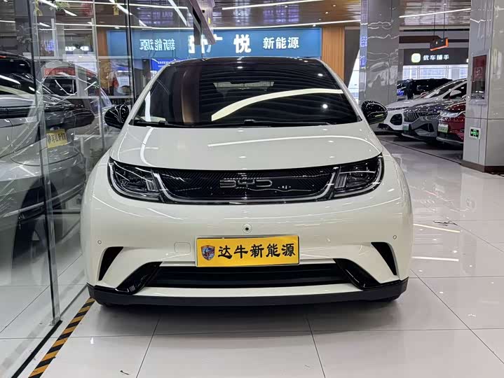 Фото 2 - BYD Dolphin