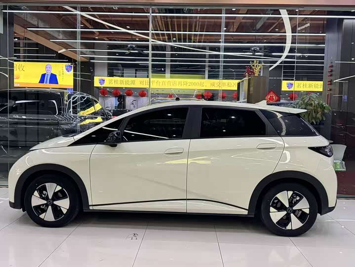 Фото 3 - BYD Dolphin