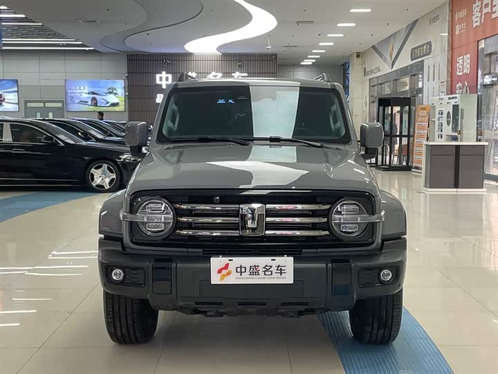 Фото 2 - Tank 300