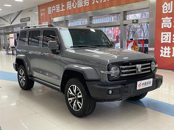 Фото 3 - Tank 300