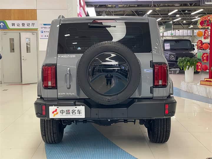 Фото 6 - Tank 300