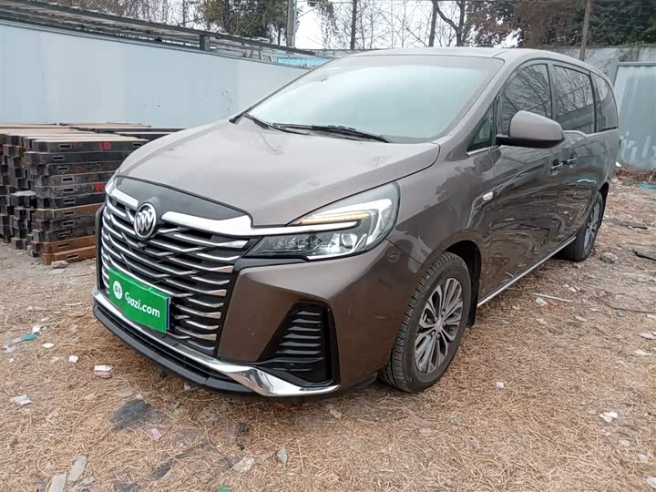 Фото 2 - Buick GL8 ES