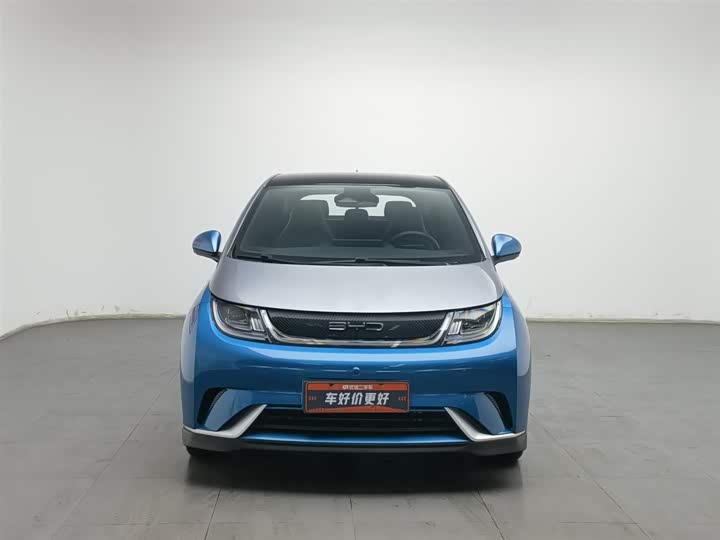 Фото 3 - BYD Dolphin