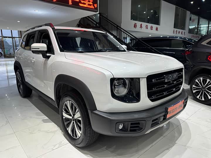 Фото 3 - Haval Dargo