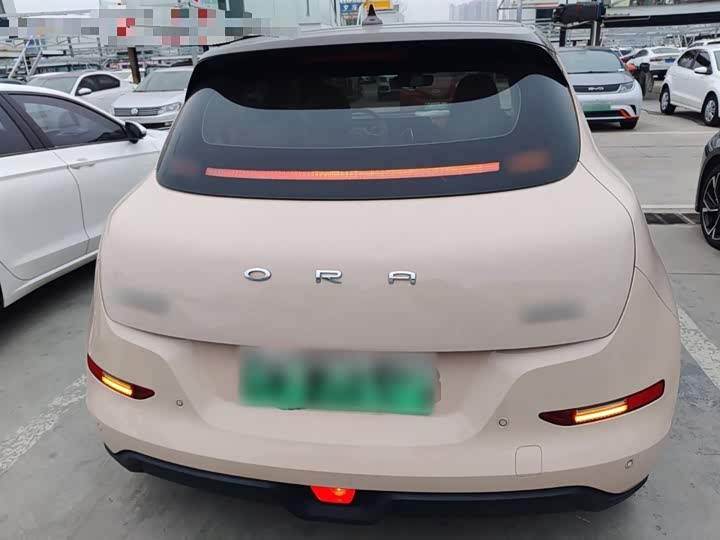 Фото 6 - Ora Good Cat (03)