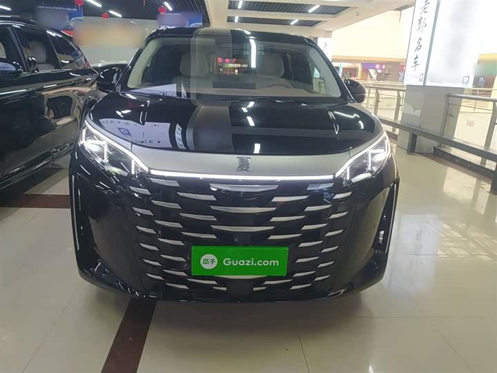 Фото 3 - BYD Xia