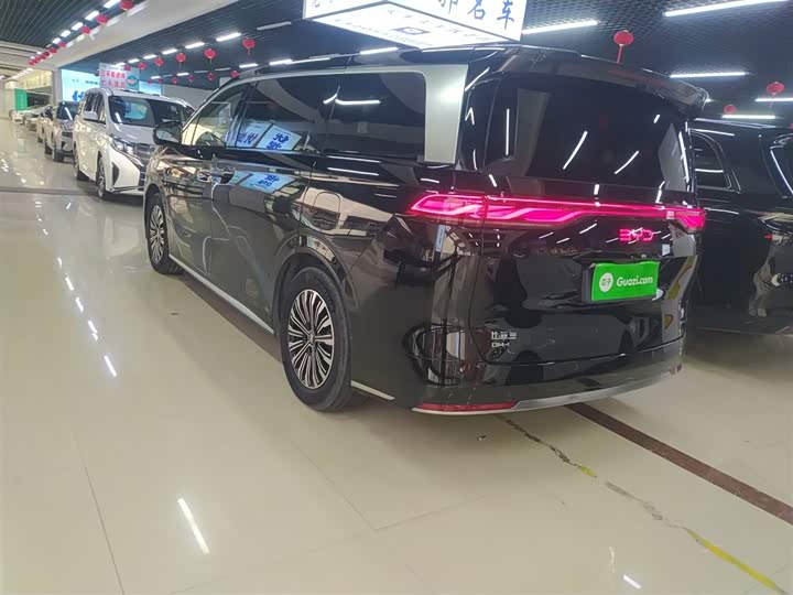 Фото 5 - BYD Xia