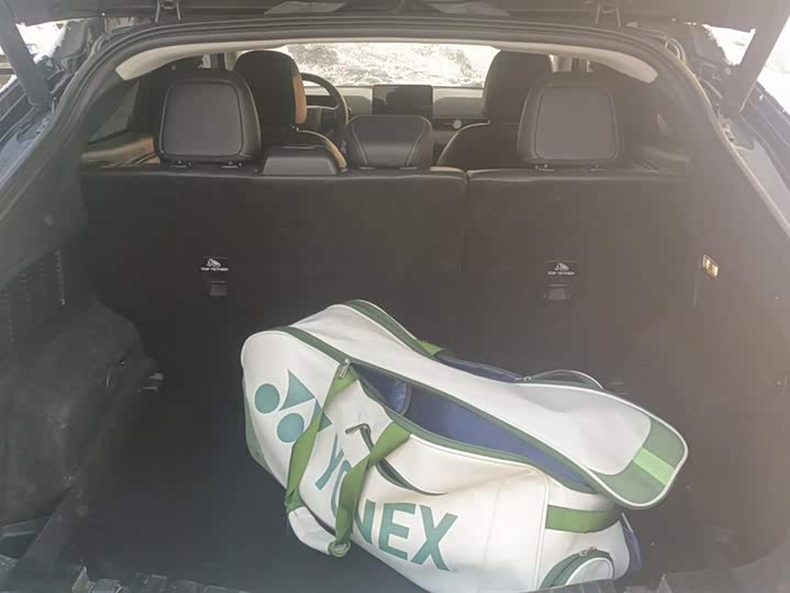 Фото 4 - Ford Mustang Mach-E