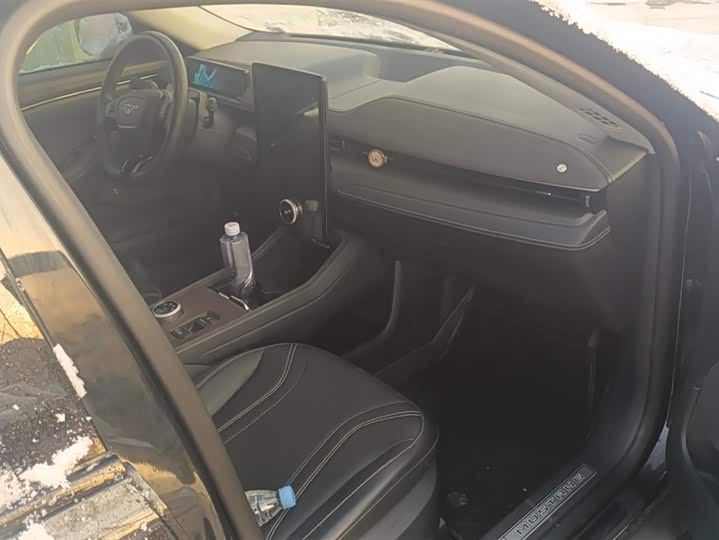 Фото 8 - Ford Mustang Mach-E