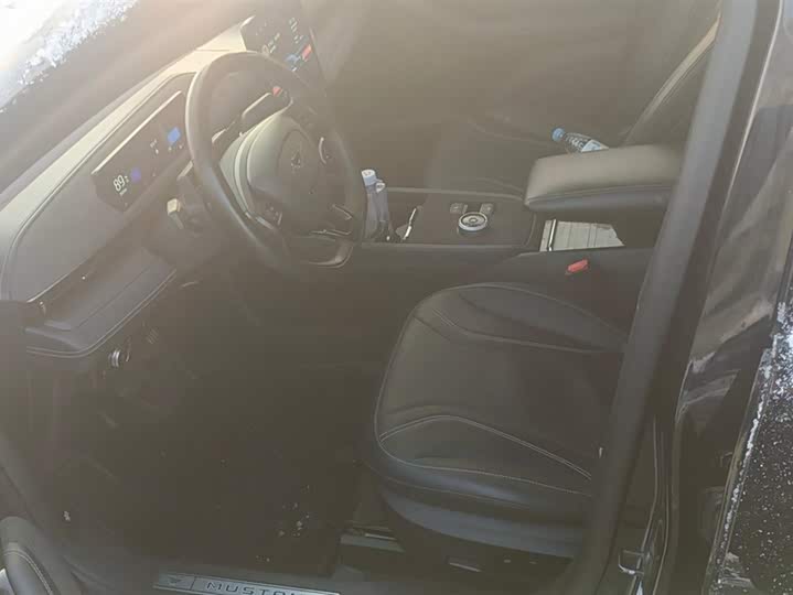 Фото 9 - Ford Mustang Mach-E