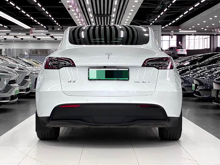 Фото 8 - Tesla Model Y