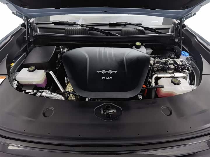 Фото 6 - BYD FangChengBao Leopard 8