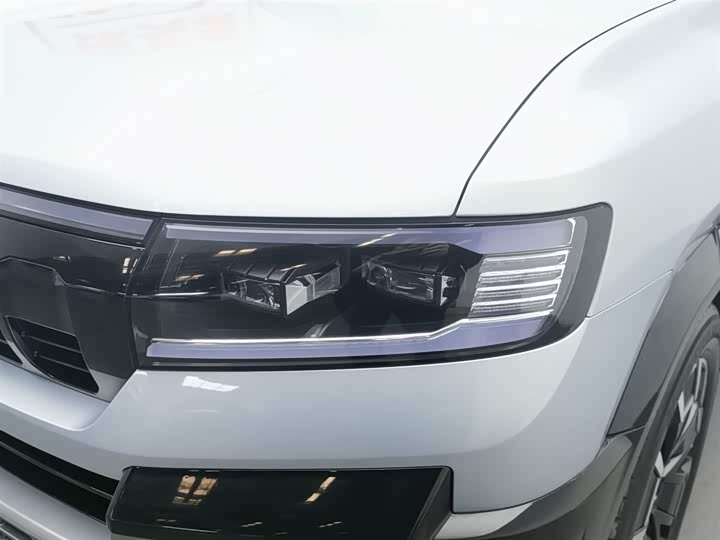 Фото 7 - BYD FangChengBao Leopard 8