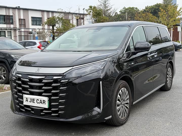 Фото 1 - BYD Xia