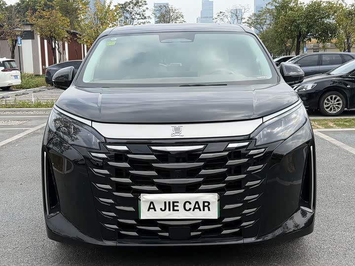 Фото 2 - BYD Xia